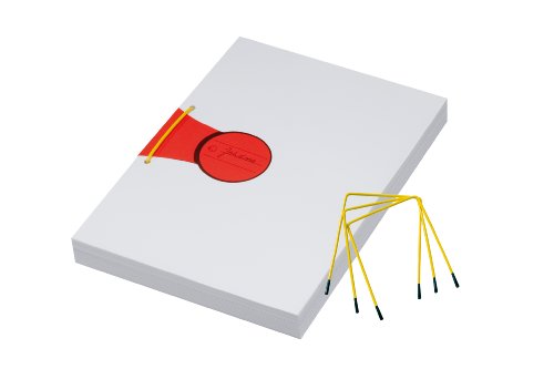 Djois, 2639800000 – Pli-Fix® Archivierungssystem Bündeln, 100 Stück