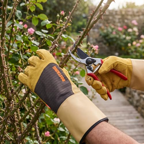 ROSTAING Dornenfeste Lederhandschuhe Dornen Rosen Garten EN 388