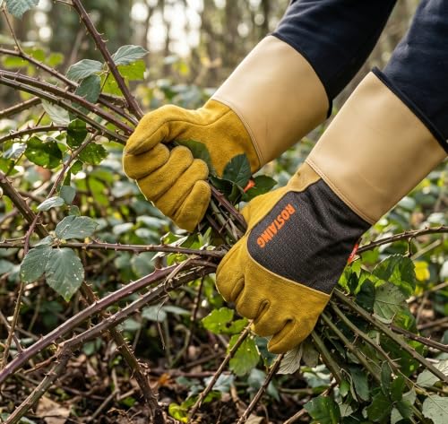 ROSTAING Dornenfeste Lederhandschuhe Dornen Rosen Garten EN 388