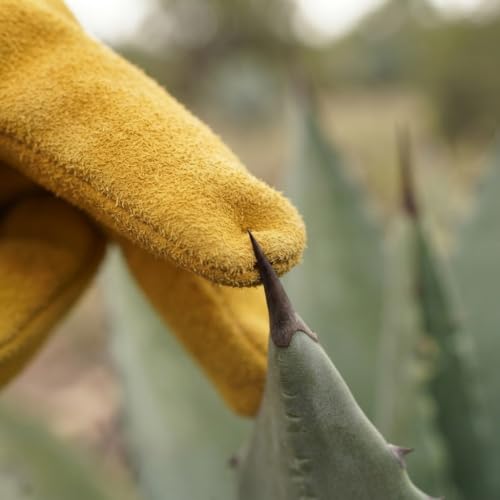 ROSTAING Dornenfeste Lederhandschuhe Dornen Rosen Garten EN 388
