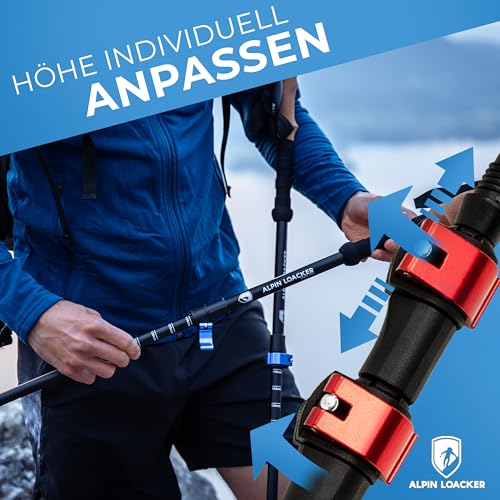 ALPIN LOACKER Teleskop Wanderstöcke Aluminium und Carbon mit Korkgriff I Leichte Nordic Walking Stöcke Damen und Herren für Skifahren und Wandern I Trekkingstöcke für Bergsport