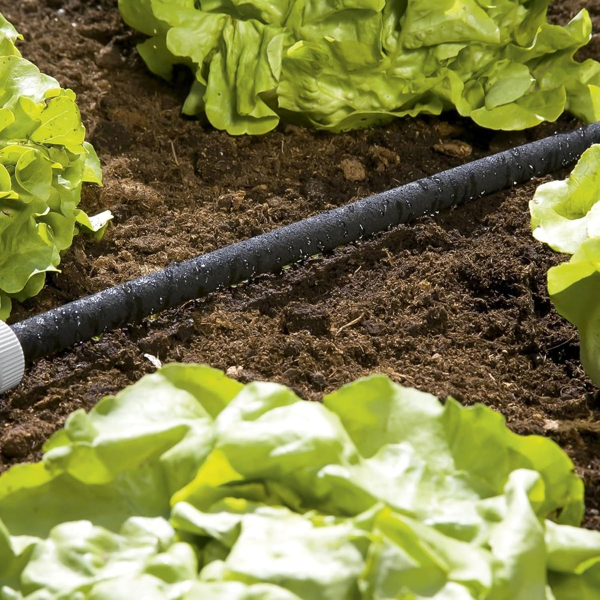 Gardena Perl-Regner: Wassersparender Schlauch-Regner für Bewässerung von Pflanzenreihen & Beeten, spart bis 70 Prozent Wasser,individuell anpassbar, leicht zu bedienen, Schlauchlänge: 15 m(1969-20)