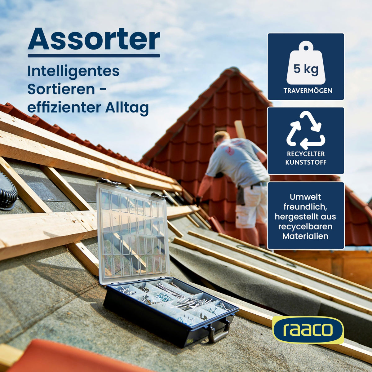 Raaco Assorter 55 4x8-15 Sortierbox, 15 Einsätze, Sichere Aufbewahrung