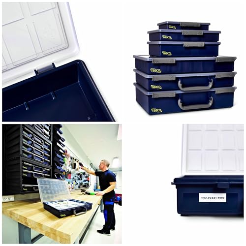 Raaco Assorter 55 4x8-15 Sortierbox, 15 Einsätze, Sichere Aufbewahrung