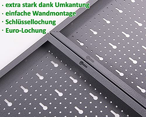 Ondis24 Werkzeugwand Lochwand aus Metall Werkstattwand mit Euro-Lochung 60 x 40 cm
