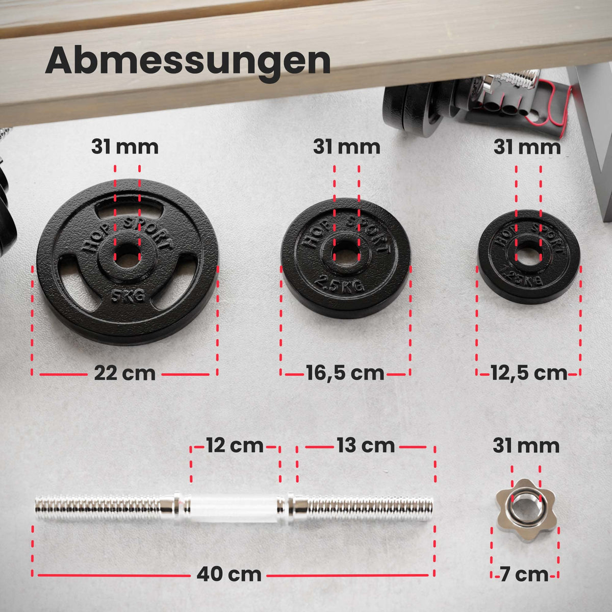 Hop-Sport Gusseisen Hantelscheiben Set 10kg bis 60kg mit 31 mm Lochdurchmesser, Neopren Handschuhen, Ideal für Standard 30mm Langhantelstangen, Robuste Gewichtsscheiben für Fitness- und Krafttraining