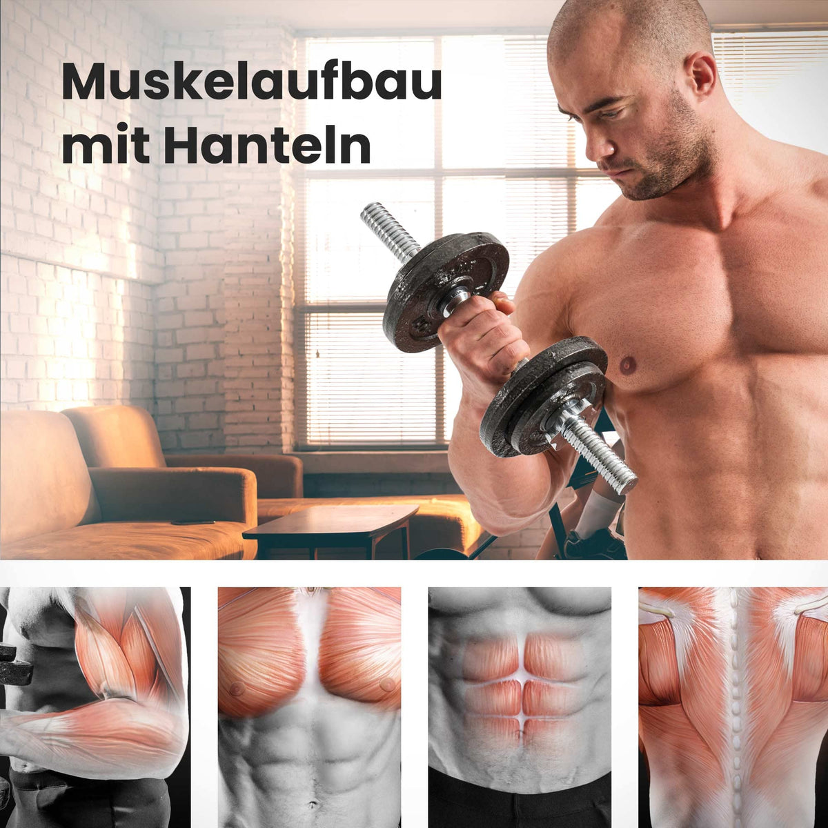 Hop-Sport Gusseisen Hantelscheiben Set 10kg bis 60kg mit 31 mm Lochdurchmesser, Neopren Handschuhen, Ideal für Standard 30mm Langhantelstangen, Robuste Gewichtsscheiben für Fitness- und Krafttraining
