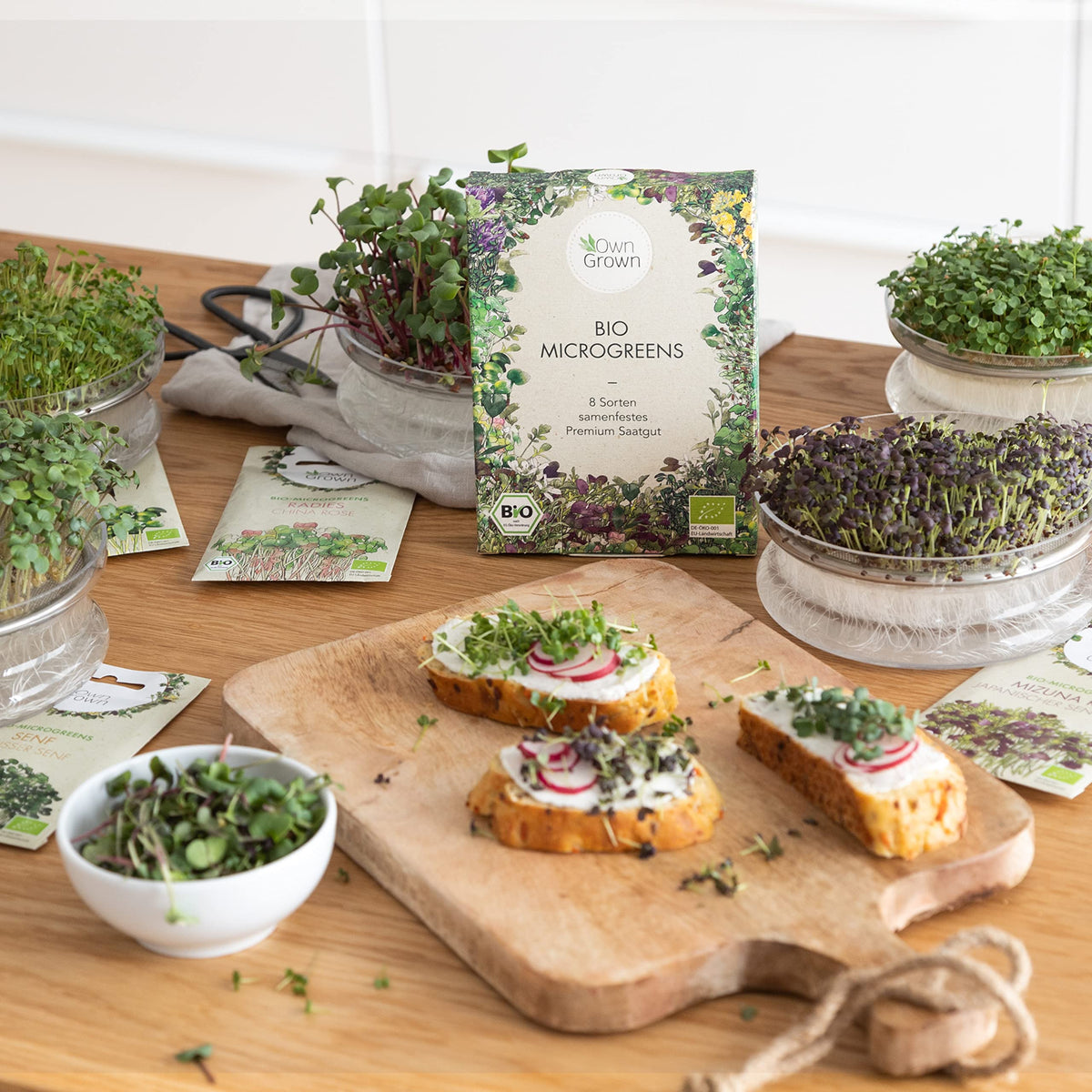 Microgreens Samen Set von OwnGrown - 8 Sorten BIO Sprossen und Mikrogrün Saatgut im Microgreens Starter Set - Alfalfa, Rucola, Kresse für Kresse Anzuchtschalen uvm - Sprossen Samen
