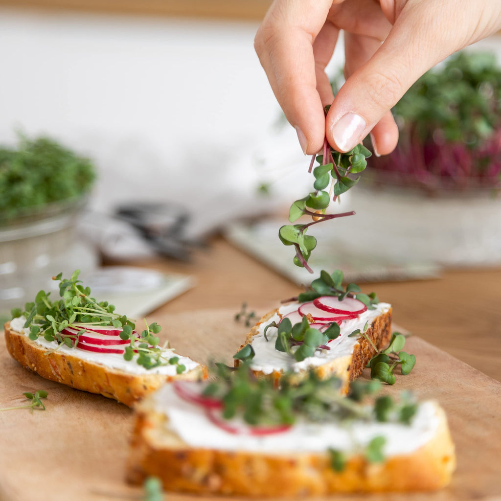Microgreens Samen Set von OwnGrown - 8 Sorten BIO Sprossen und Mikrogrün Saatgut im Microgreens Starter Set - Alfalfa, Rucola, Kresse für Kresse Anzuchtschalen uvm - Sprossen Samen