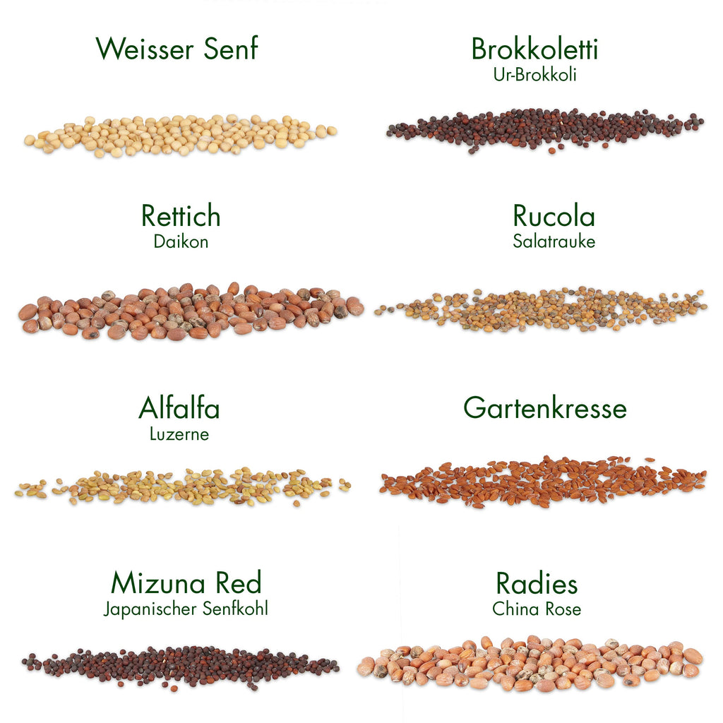Microgreens Samen Set von OwnGrown - 8 Sorten BIO Sprossen und Mikrogrün Saatgut im Microgreens Starter Set - Alfalfa, Rucola, Kresse für Kresse Anzuchtschalen uvm - Sprossen Samen