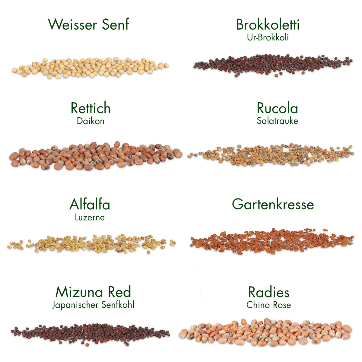 Microgreens Samen Set von OwnGrown - 8 Sorten BIO Sprossen und Mikrogrün Saatgut im Microgreens Starter Set - Alfalfa, Rucola, Kresse für Kresse Anzuchtschalen uvm - Sprossen Samen