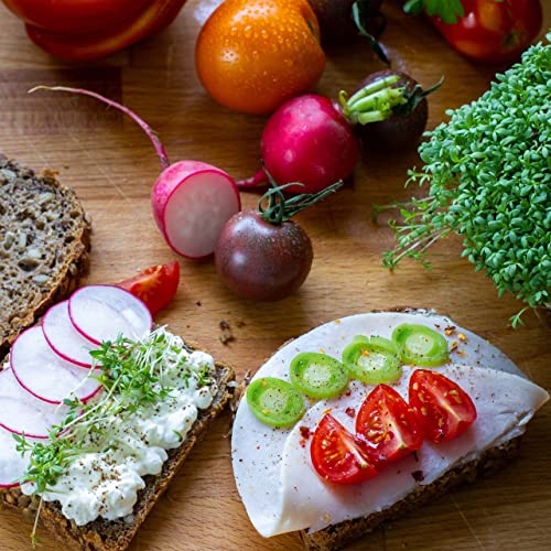 Microgreens Samen Set von OwnGrown - 8 Sorten BIO Sprossen und Mikrogrün Saatgut im Microgreens Starter Set - Alfalfa, Rucola, Kresse für Kresse Anzuchtschalen uvm - Sprossen Samen