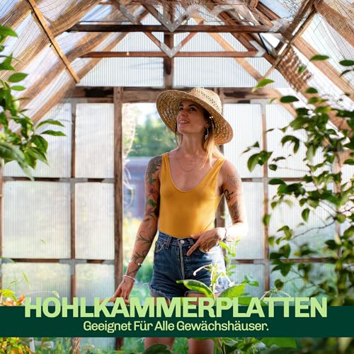 Hohlkammerplatten für Gewächshaus 60,5 x 121 cm - Polycarbonatplatten, Kunststoffplatten 4mm, Wetterfeste Gewächshausplatten, Polycarbonat Stegplatten, Transparentes & UV-beständige Wellplattendach