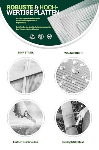 Hohlkammerplatten für Gewächshaus 60,5 x 121 cm - Polycarbonatplatten, Kunststoffplatten 4mm, Wetterfeste Gewächshausplatten, Polycarbonat Stegplatten, Transparentes & UV-beständige Wellplattendach