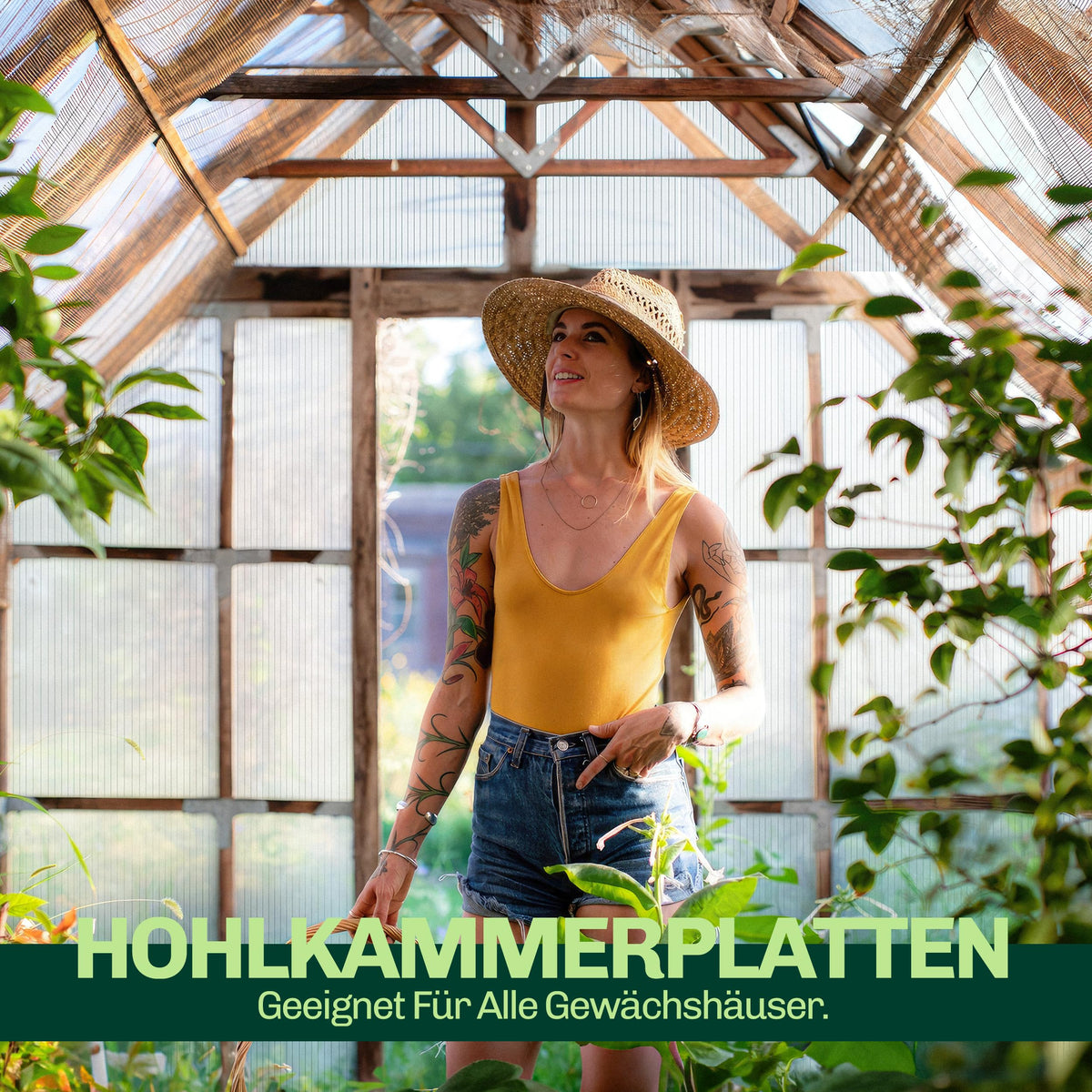 Hohlkammerplatten für Gewächshaus 60,5 x 121 cm - Polycarbonatplatten, Kunststoffplatten 4mm, Wetterfeste Gewächshausplatten, Polycarbonat Stegplatten, Transparentes & UV-beständige Wellplattendach