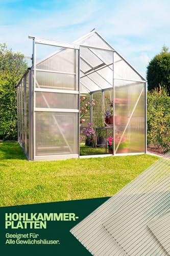 Hohlkammerplatten für Gewächshaus 60,5 x 121 cm - Polycarbonatplatten, Kunststoffplatten 4mm, Wetterfeste Gewächshausplatten, Polycarbonat Stegplatten, Transparentes & UV-beständige Wellplattendach