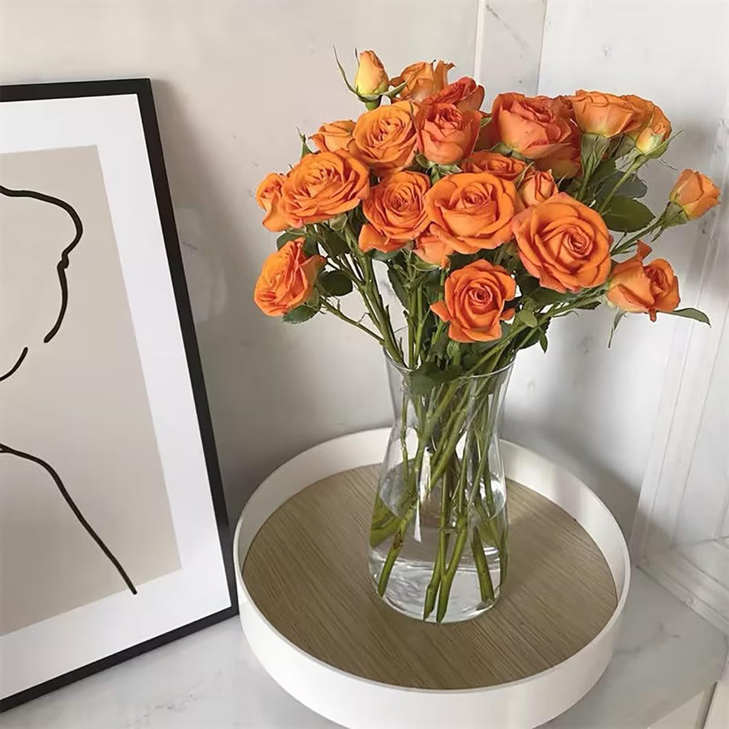 Klar Glas Vase, 20CM Hoch Glasvase für Heimdekoration Tischdeko