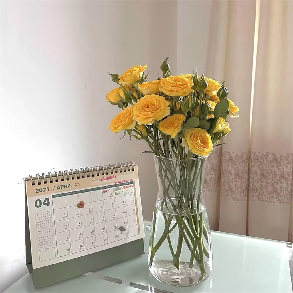 Klar Glas Vase, 20CM Hoch Glasvase für Heimdekoration Tischdeko