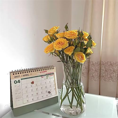 Klar Glas Vase, 20CM Hoch Glasvase für Heimdekoration Tischdeko