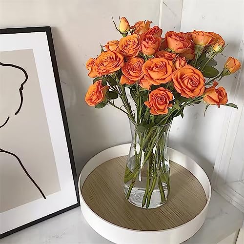 Klar Glas Vase, 20CM Hoch Glasvase für Heimdekoration Tischdeko