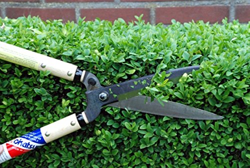 Okatsune 217 Heckenschere | 175 mm Klinge, 300 mm Griffe | kompakt