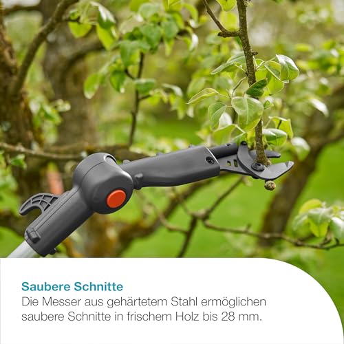 Gardena Akku-Teleskop-Baumschere HighCut 360/18V P4A Ready-to-Use Set: Bis zu 5 m Reichweite, Schwenkbarer Schneidkopf, Ergonomisch, LED-Anzeige, Kabellos (14776-20)