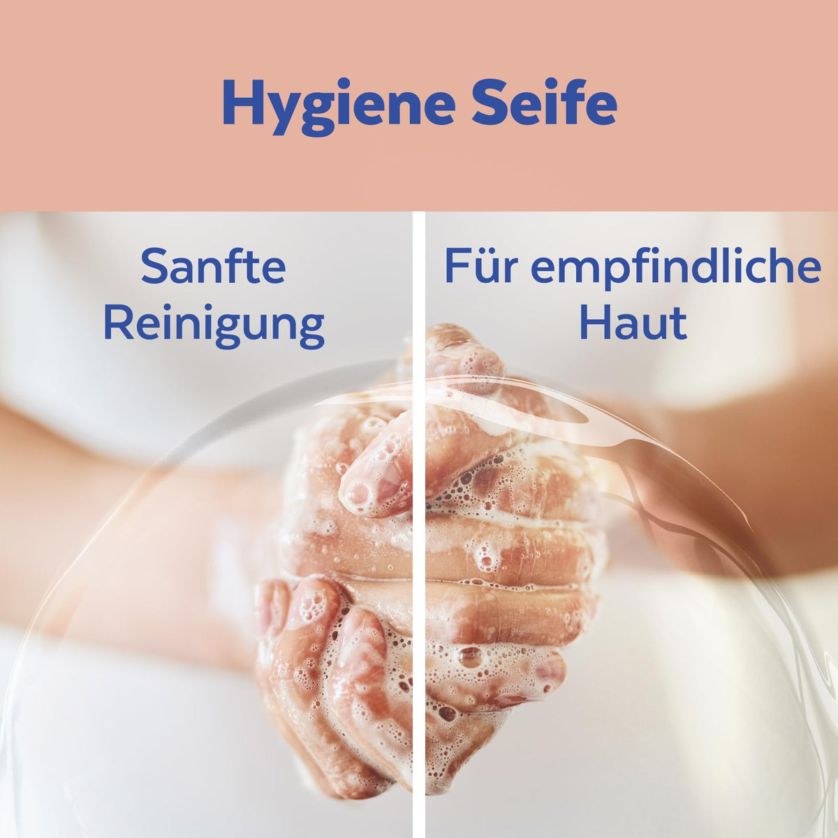 Sagrotan No-Touch Starter-Set – Sagrotan No-Touch Automatischer Seifenspender inkl. Nachfüller Kamille – 1 x 250 ml Handseife