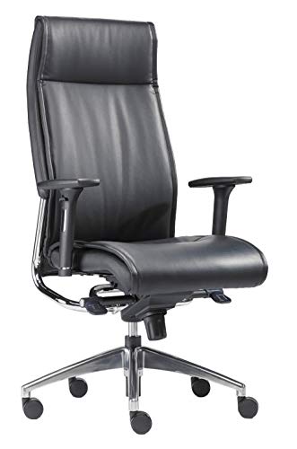 Big Boss | Premium-Chefsessel für Wirbelsäulengesundheit & Aktives Sitzen - Made in Germany | inkl. Armlehnen, Komfort-Sitz und Wipp-Synchron-Mechanik bis 150 kg (Teppichbodenrollen)