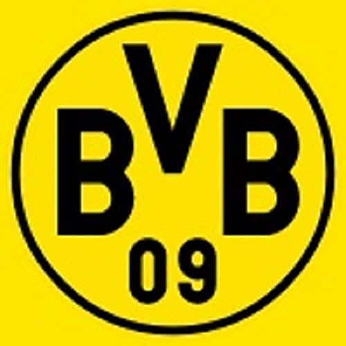 Borussia Dortmund, BVB-Kissen S?dtrib?ne, Mehrfarbig, 40x40cm