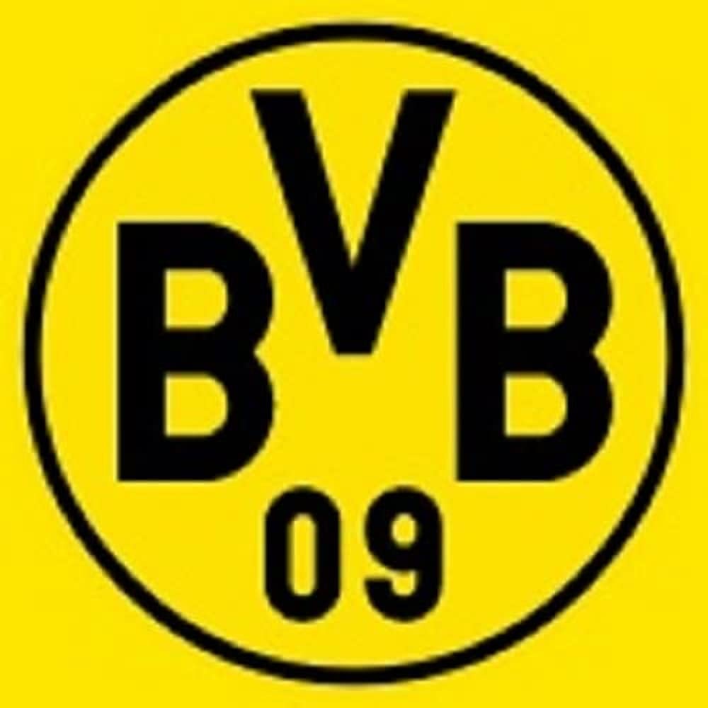 Borussia Dortmund, BVB-Kissen S?dtrib?ne, Mehrfarbig, 40x40cm