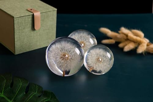 Wunscherfüller Pusteblume Briefbeschwerer Löwenzahn, EIN Traumball. Kristall Wunschkugel. Einzigartiger Briefbeschwerer aus Löwenzahn (Durchmesser*9CM)