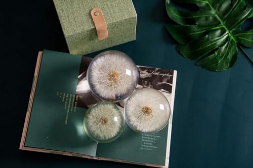Wunscherfüller Pusteblume Briefbeschwerer Löwenzahn, EIN Traumball. Kristall Wunschkugel. Einzigartiger Briefbeschwerer aus Löwenzahn (Durchmesser*9CM)