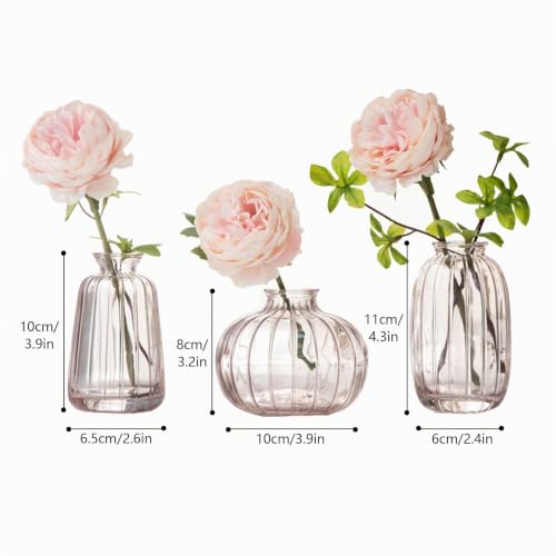 3er-Set Kleine Vasen für Tischdeko Dekorativ Glasvasen Blumenvase Set Bud Vase Kaffee