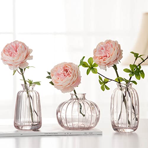 3er-Set Kleine Vasen für Tischdeko Dekorativ Glasvasen Blumenvase Set Bud Vase Kaffee