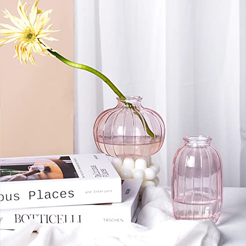 3er-Set Kleine Vasen für Tischdeko Dekorativ Glasvasen Blumenvase Set Bud Vase Kaffee