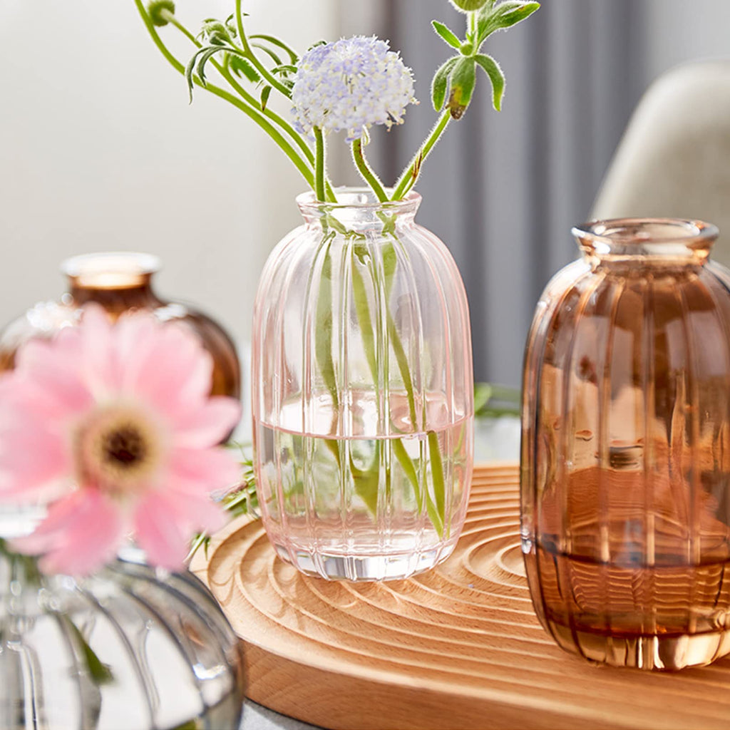3er-Set Kleine Vasen für Tischdeko Dekorativ Glasvasen Blumenvase Set Bud Vase Kaffee