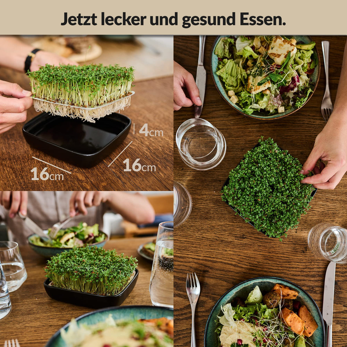 Otaro Kresse Anzuchtschalen inkl. Kressesamen aus Deutschland | Direkt Loslegen | Sprossen Anzuchtset | Edles Kressesieb | Keimschalen für Sprossen | (Schwarz - Premium Keramikset)