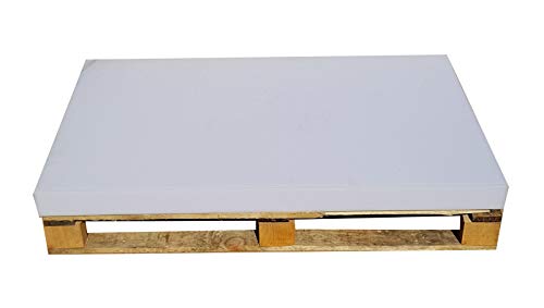 Master Palettenkissen, Palettensofa, Palettenpolster, Matratzenkissen 120x80x8 cm Schaumstoff für Europalette, Hundekissen, Auflage (Schaumstoff ohne Bezug) 120x80x5