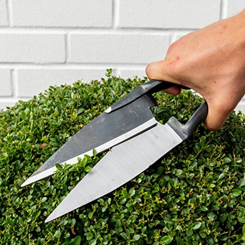 BERGER Schafschere 2712 | Profi Gartenschere | Buchsbaumschere
