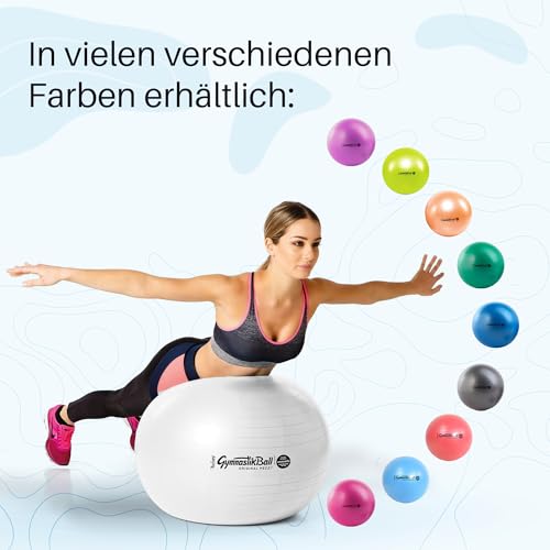 Pezziball Gymnastikball MAXAFE (anti-burst) 65 cm GRAU