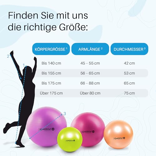 Pezziball Gymnastikball MAXAFE (anti-burst) 65 cm GRAU