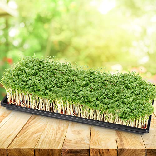 5 Stück Anzuchtschale Groß 51 x 25 cm Pflanzschale Pflanzwanne (5)
