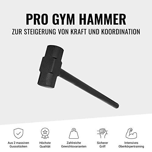 GORILLA SPORTS® Gym-Hammer - 6/8/10/12/15/20/20/30 kg Gewichte, Hohl Griff, Stahl - Gewichtshammer, Fitnesshammer, Trainingshammer, Krafttraining, Fitness-Hammer
