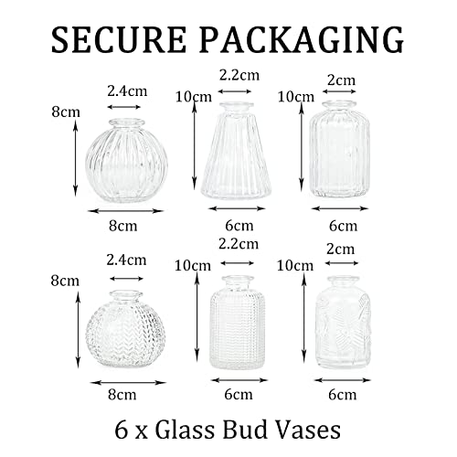 Vasen Klein Glas EylKoi - 6 Teile/Satz Klar Verschiedene Formen, Vasen Hochzeit, Tischdeko Mini Kleine Für Zuhause, Veranstaltungen Tisch, 1# + 2#
