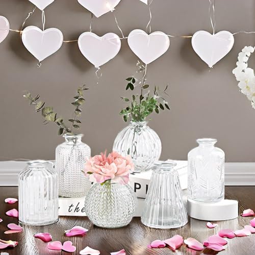 Vasen Klein Glas EylKoi - 6 Teile/Satz Klar Verschiedene Formen, Vasen Hochzeit, Tischdeko Mini Kleine Für Zuhause, Veranstaltungen Tisch, 1# + 2#
