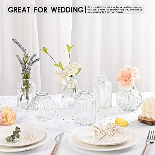 Vasen Klein Glas EylKoi - 6 Teile/Satz Klar Verschiedene Formen, Vasen Hochzeit, Tischdeko Mini Kleine Für Zuhause, Veranstaltungen Tisch, 1# + 2#
