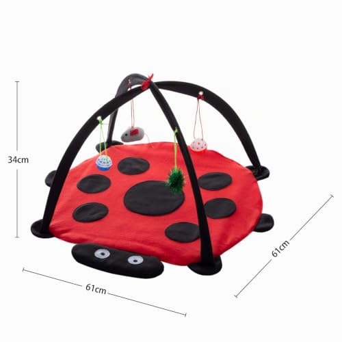Tofern Katzenspielmatte Mit Spielzeug, Interaktives Spielzeug, Faltbare Hängematte, Katzenbett, Waschbar, Bett, Sofa Für Kleine Tiere, Rot (61 * 61 * 34cm)