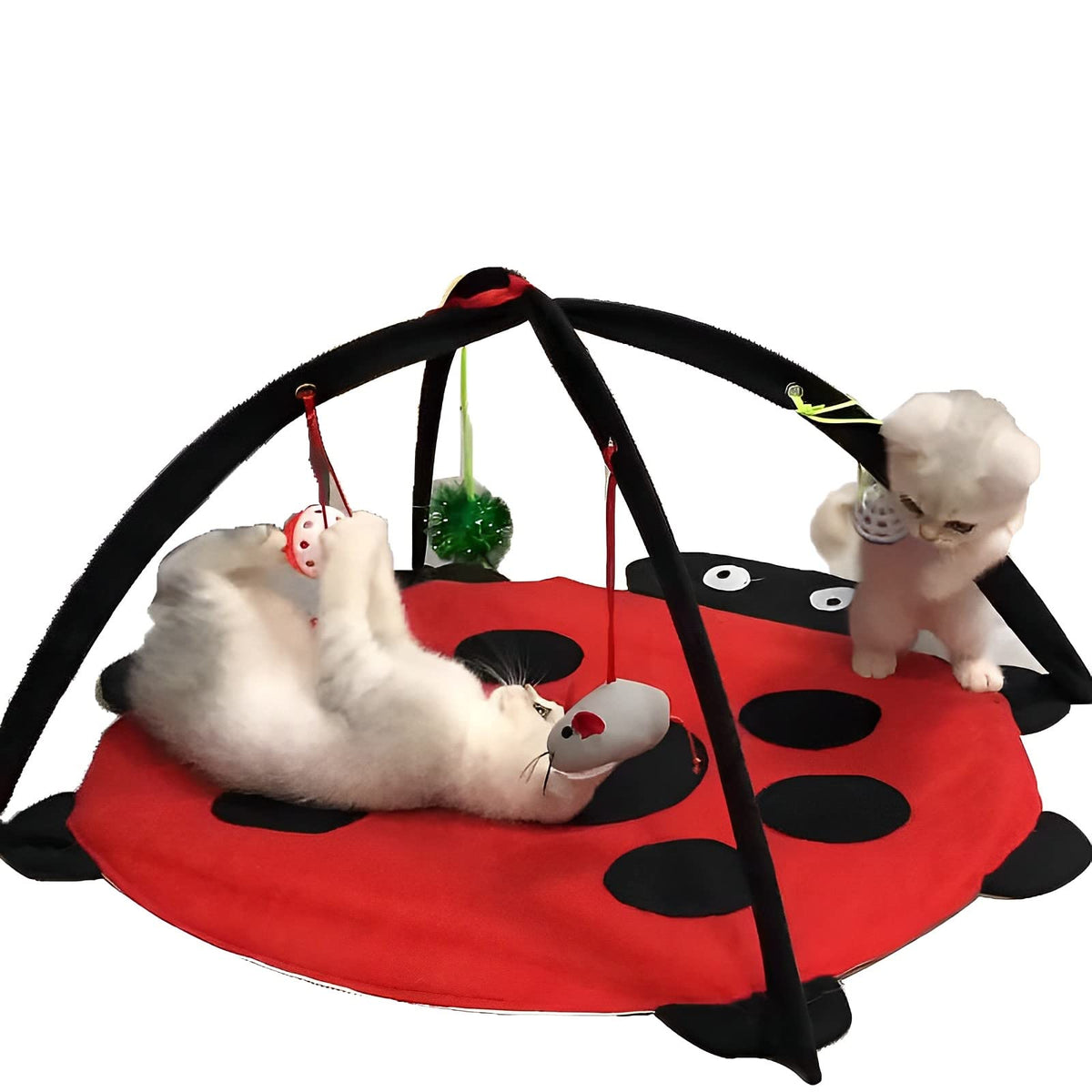 Tofern Katzenspielmatte Mit Spielzeug, Interaktives Spielzeug, Faltbare Hängematte, Katzenbett, Waschbar, Bett, Sofa Für Kleine Tiere, Rot (61 * 61 * 34cm)