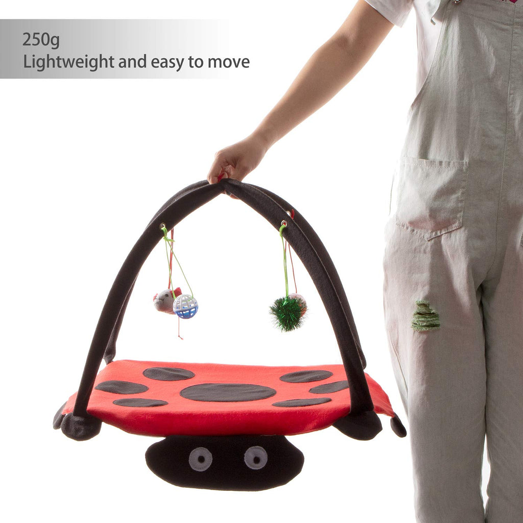 Tofern Katzenspielmatte Mit Spielzeug, Interaktives Spielzeug, Faltbare Hängematte, Katzenbett, Waschbar, Bett, Sofa Für Kleine Tiere, Rot (61 * 61 * 34cm)
