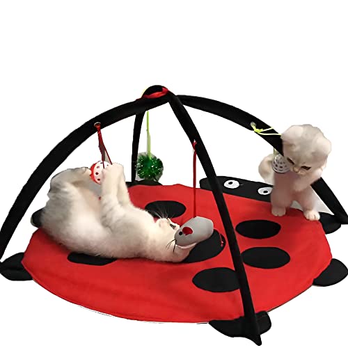 Tofern Katzenspielmatte Mit Spielzeug, Interaktives Spielzeug, Faltbare Hängematte, Katzenbett, Waschbar, Bett, Sofa Für Kleine Tiere, Rot (61 * 61 * 34cm)